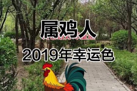 2025年属鸡的人今年多大了？详细年龄计算与运势解析