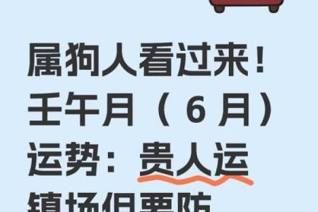 1994年出生的属狗人在2025年整体运势如何？财运和感情运分析