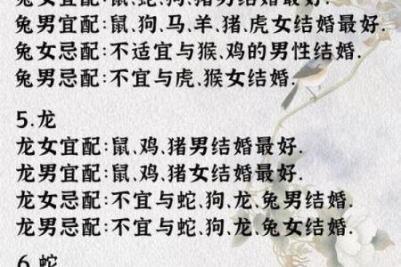 属狗男最佳婚配属相揭秘，命中注定老婆是谁？