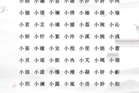 2017年最新男宝宝取名字大全及寓意解析