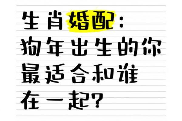 属狗的人和属马的人结婚会幸福吗？性格合不合？
