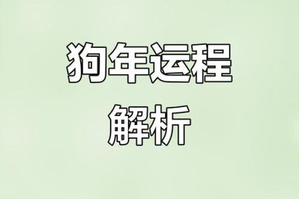 2025年属狗人的全年运势分析，需要注意哪些健康问题