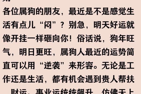 2023年属狗人的财运和事业运详解需要注意哪些方面