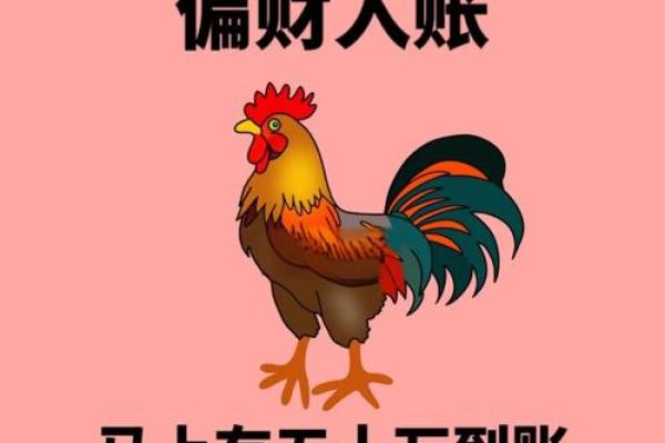 1993年出生的属鸡人2024年龙年事业运势和财运如何详细解析
