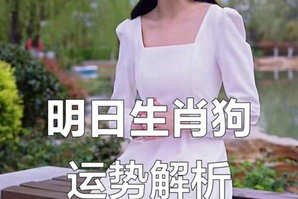 2025年属狗人1970年出生运势详解及每月运程完整版分析