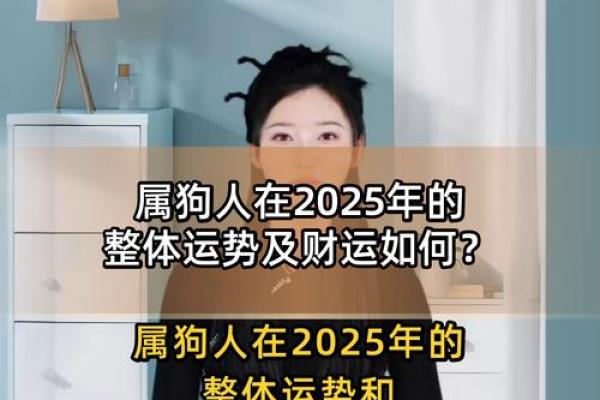 2025年属狗人的全年运势如何？1982年出生者每月运程完整分析