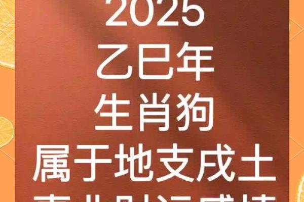 2025年属狗人的全年运势解析，需要注意哪些事项？