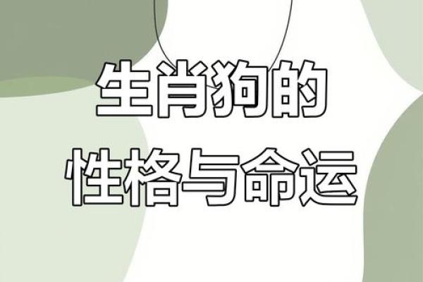 2025年1982年出生的属狗人运势如何？本命年需要注意哪些事项和禁忌