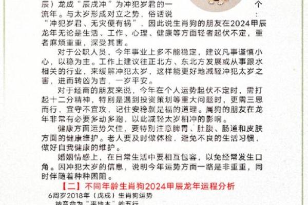 2006年属狗的男孩一生命运如何，学业和健康运势详解