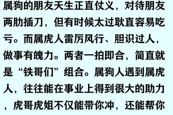 2006年属狗的男孩一生命运如何，学业和健康运势详解