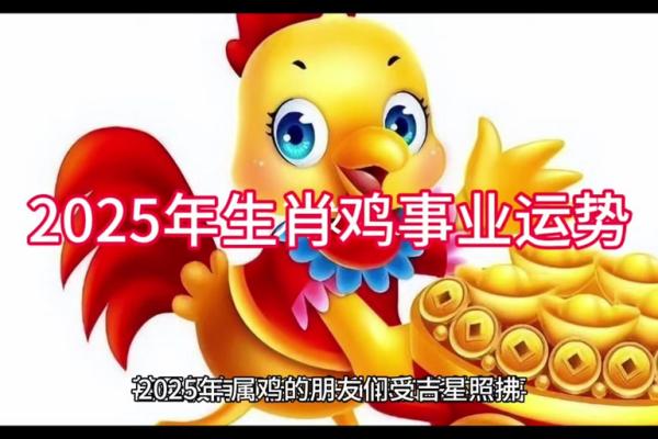 2025年属鸡人的幸运颜色和数字是什么？如何提升运势