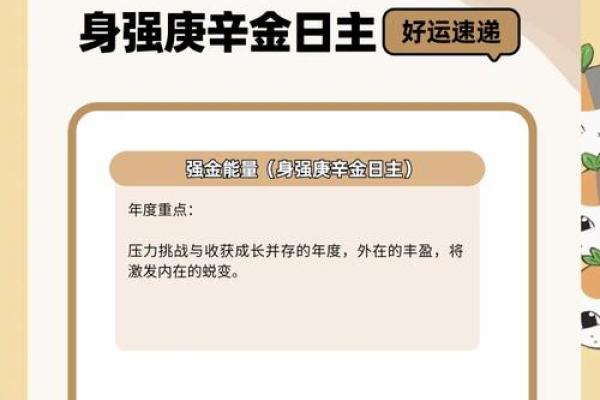 2025年属狗人的感情婚姻运势详解，单身或有伴侣者该如何把握机遇？