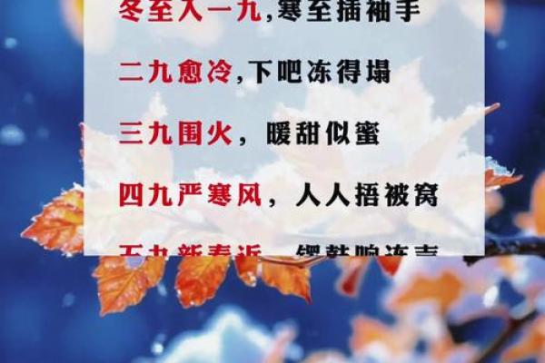 2021年现在是数九寒天的第几天了怎么计算