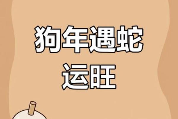 属狗人2025年感情运势详解，命中注定的真爱类型分析