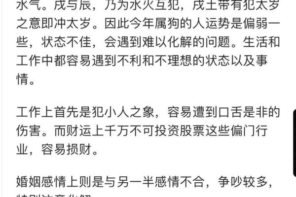 2025年属狗人的全年运势详解，财运事业健康如何