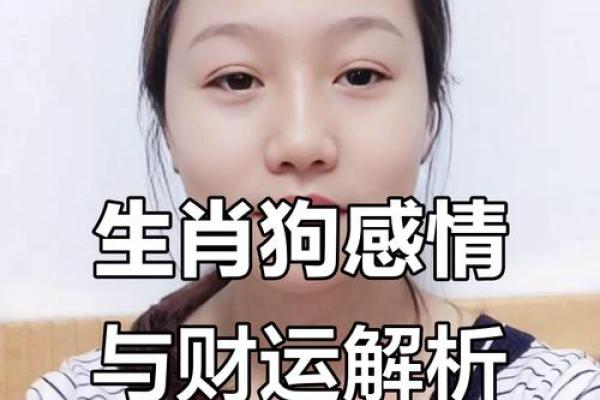 2025年狗人全年运势详解：事业财运健康感情完整解析与每月运程