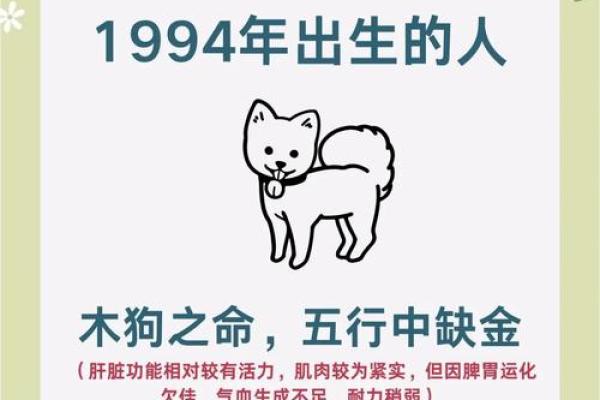 2006年属狗的人是什么命？五行属性查询与解析
