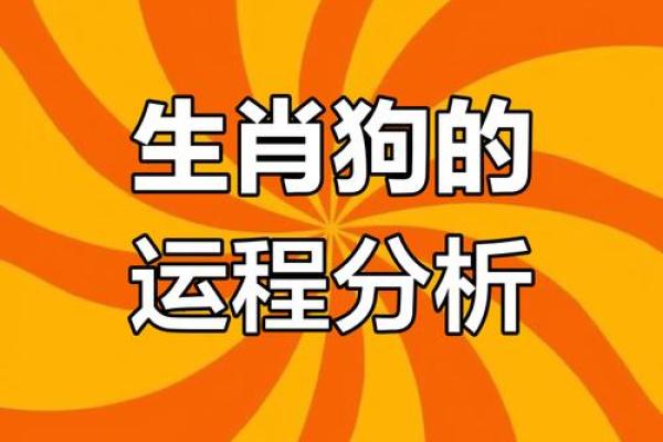 1982年属狗男性2025年每月运势详解及财运分析