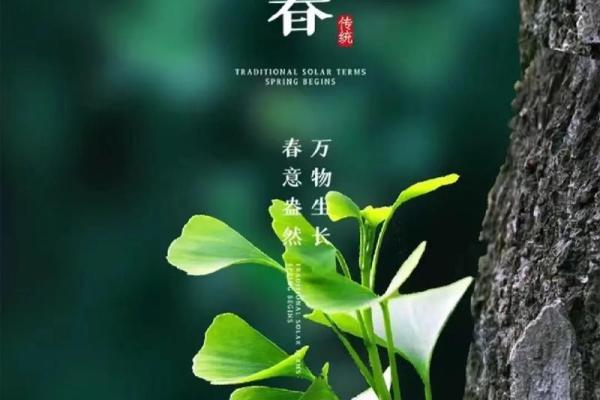 2019年打春时间查询，今年立春是哪一天？