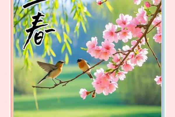 2019年打春时间查询，今年立春是哪一天？
