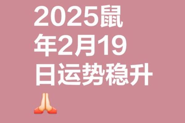 84年女鼠2025年运势及每月运程如何助你解决问题？