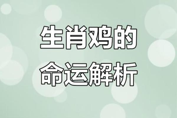 1981年属鸡男2024年每月运势详解及财运健康指南