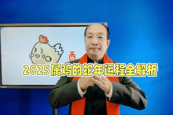 2025年蛇年属鸡人的全年运势详解及每月运程