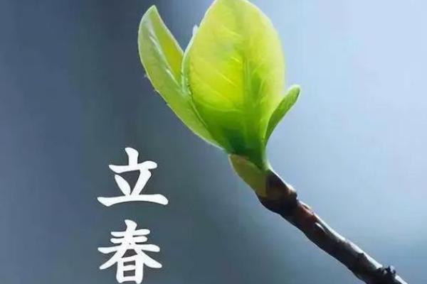 2015年立春具体是几点几分开始，需要准确时间安排活动