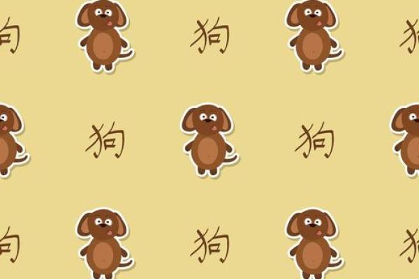 2006年出生的属狗男孩性格与命运全面解析，未来运程怎样？