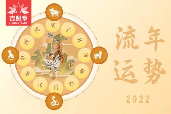 属狗的人2024年运势如何，哪些属相是贵人能带来好运？