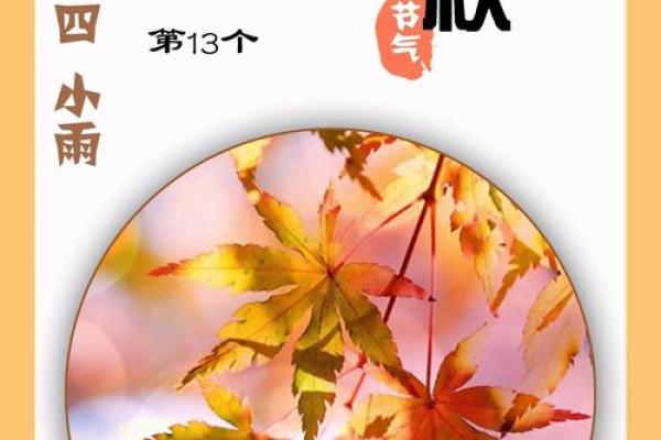 2020年立秋具体时间是几点几分几秒，需要精确到秒