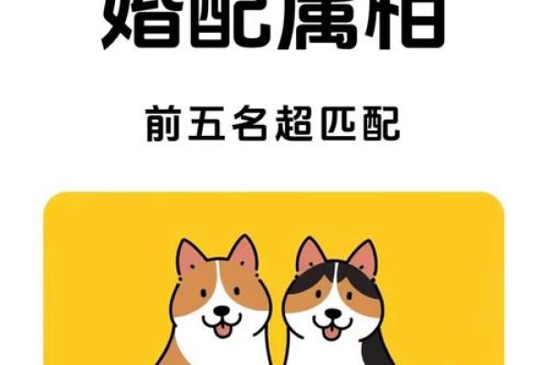 属狗男和属牛女的婚姻配对指数高吗？性格合不合？