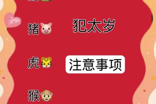 属狗的人哪一年会犯太岁，具体年份和运势如何？