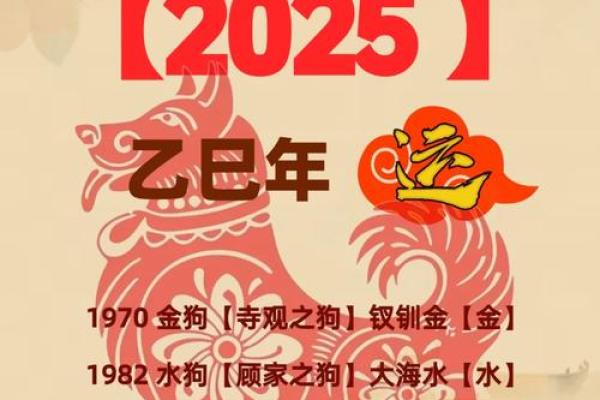 属狗的人今年具体多大年龄了，不同年份出生怎么算