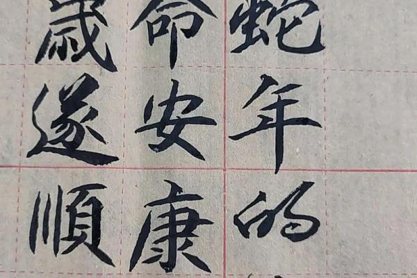 2013年属蛇人本命年运势如何?需要注意哪些方面的事项? 2013年属蛇人本命年运势如何?需要注意哪些方面的事项?