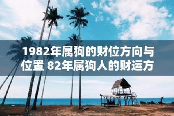 1982年出生属狗的人现在多大了，今年财运和健康运势如何