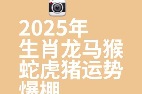 1976年属龙人2025年运势详解及每月运程完整版最新解析
