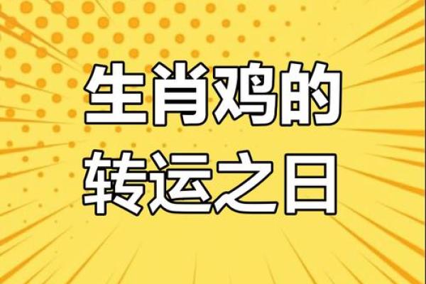 2025年属鸡人的财运运势如何，会有大的突破吗？