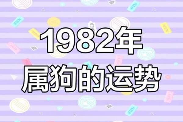 1982年出生属狗人2025年全年财运和事业运如何