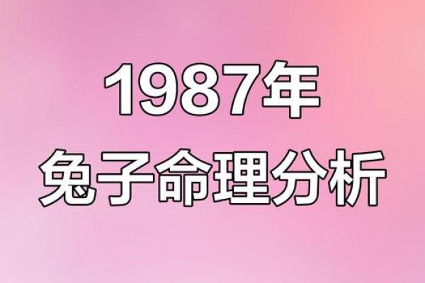 1987年属兔是什么命？详解火兔之人的一生命运走向