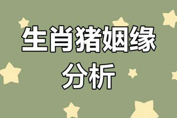 1995年属猪女性姻缘解析，何时会遇到正缘结婚？