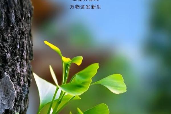 2022年立春具体时间几点几分几秒开始