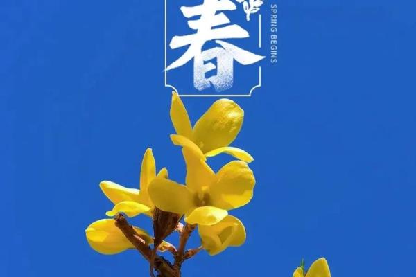 2019年立春具体时间查询，精确到几时几分几秒