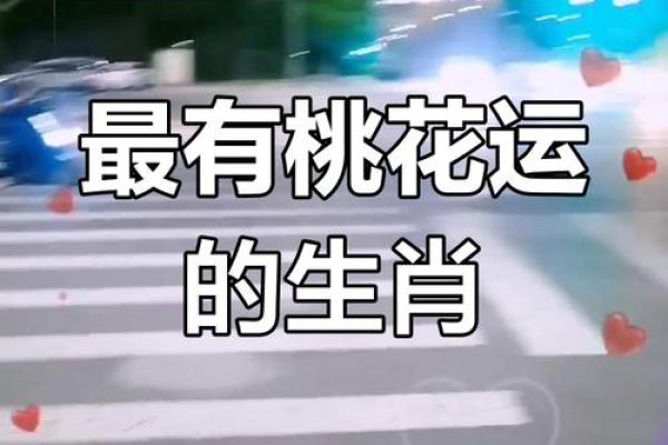 2025年蛇年属狗人的感情运势详解，婚姻和桃花运会有转机吗