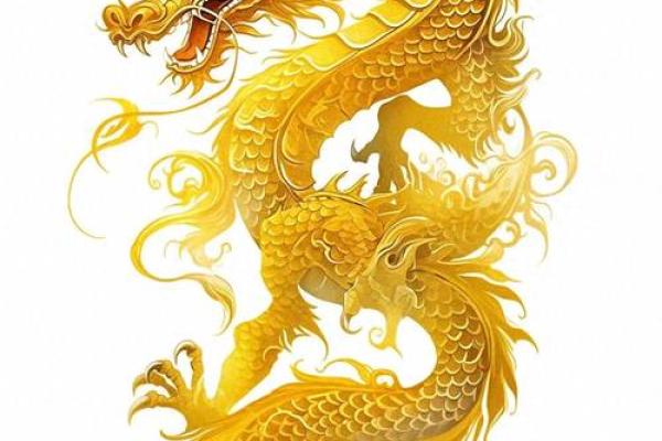 属龙人今天财运如何有没有好的投资机会和建议