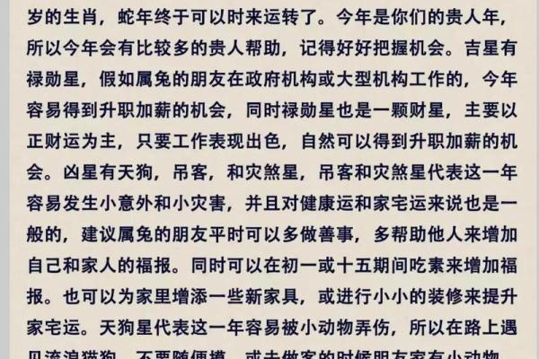 87年兔今年适合搬家的日子(1987年属兔2025年适合搬家)