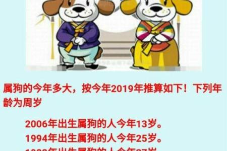 94年属狗的人一生中会经历哪三大劫难和化解方法？