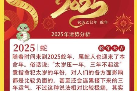 2013蛇年十二生肖整体运势详解，哪个属相在蛇年财运最旺？