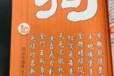 2025年属狗人的全年运势如何？1982年出生者每月运程完整分析