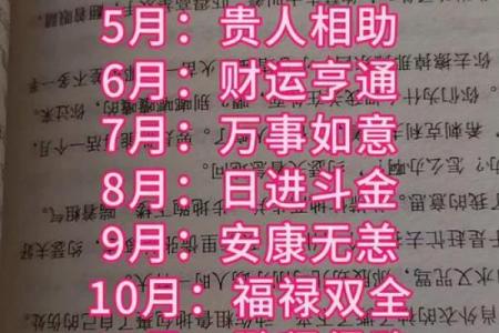2025年属狗人的全年运势解析，需要注意哪些事项？